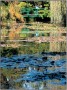 Impressionists in Their Gardens