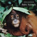 Calendar 2018: Baby Animals