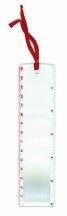 Лупа - линия - разделител