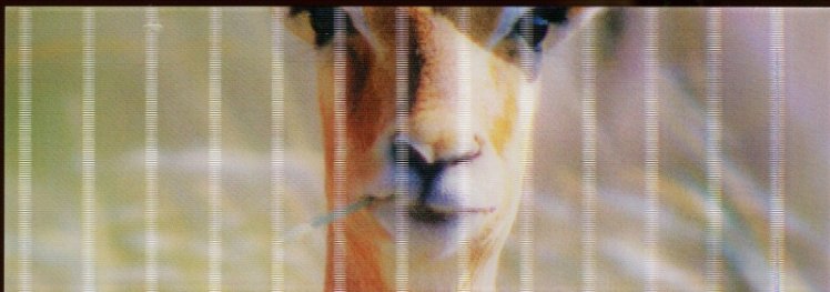 Разделител за книга Impala Bookmark [0054]