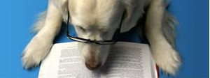 Разделител за книга Reading Dog Bookmark [0542]