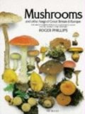 Mushrooms & other fungi