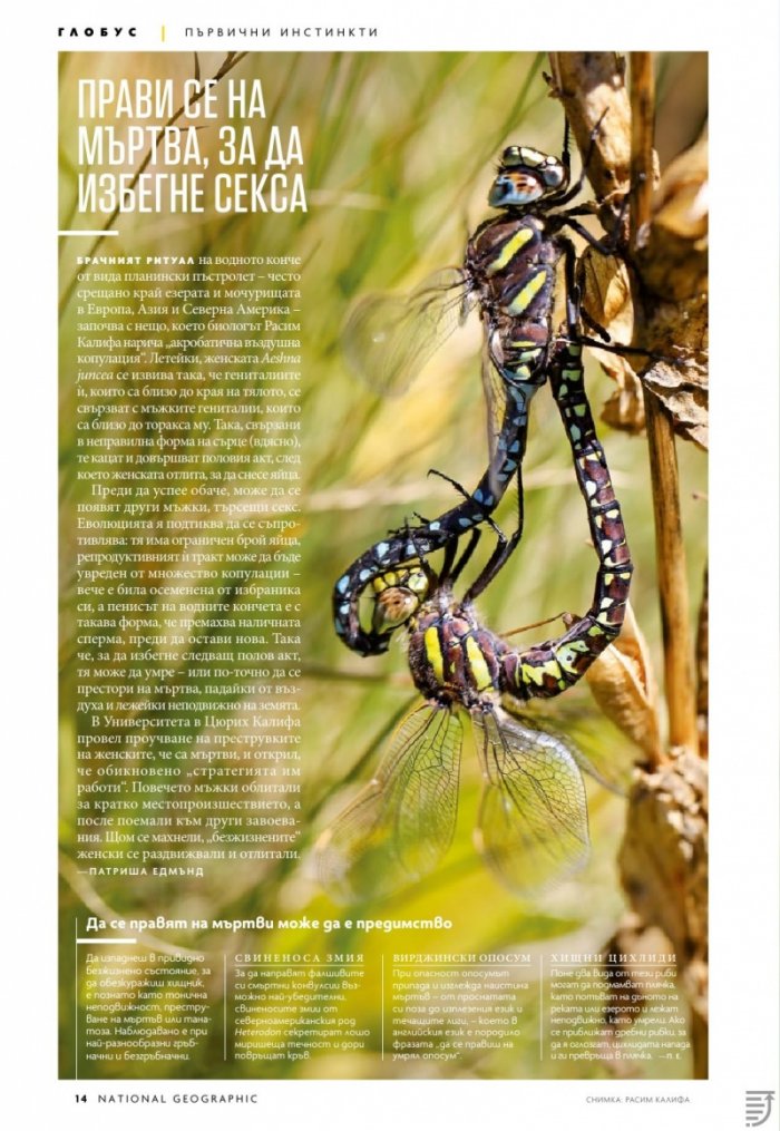National Geographic България 6/2019