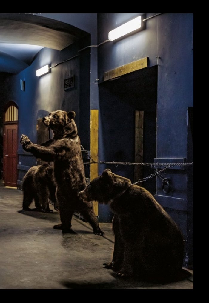 National Geographic България 6/2019