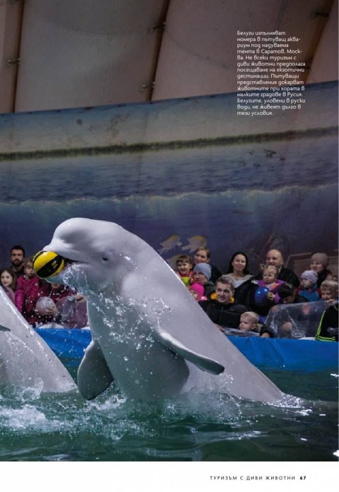 National Geographic България 6/2019