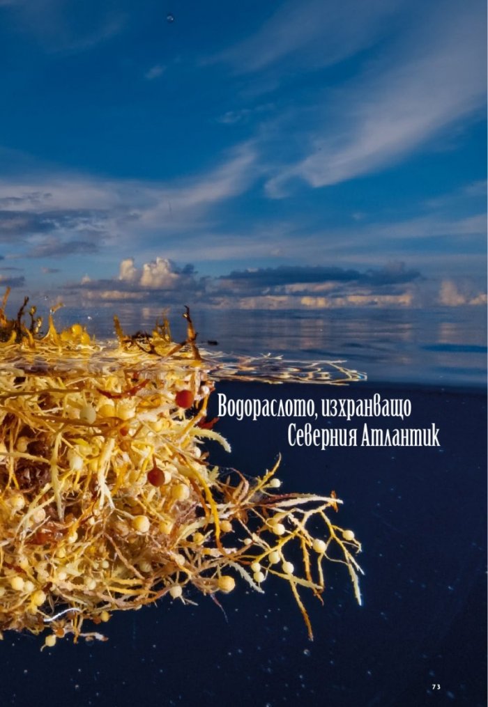 National Geographic България 6/2019