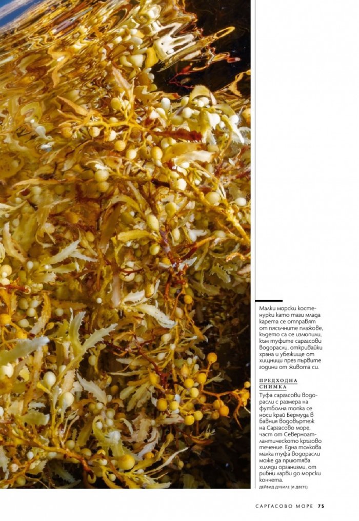 National Geographic България 6/2019