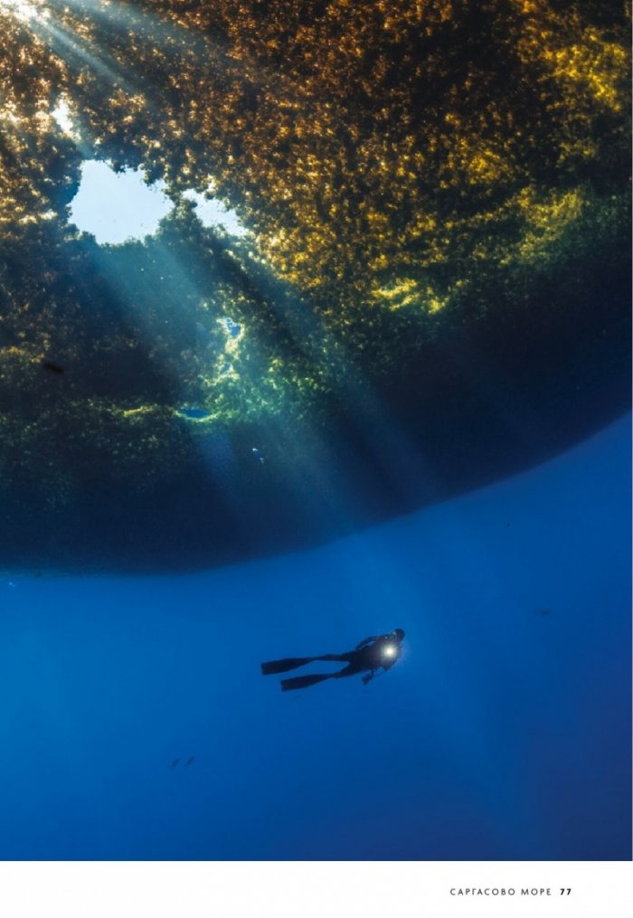 National Geographic България 6/2019