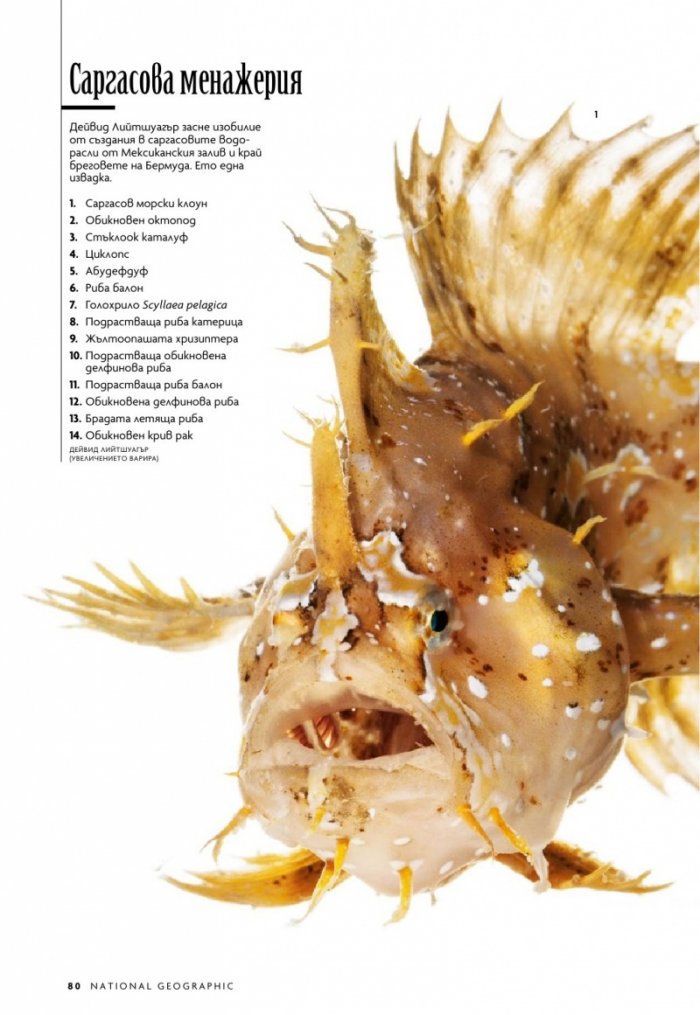 National Geographic България 6/2019
