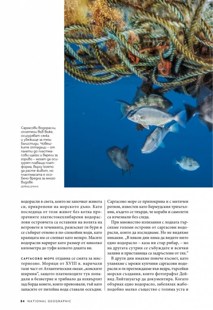 National Geographic България 6/2019