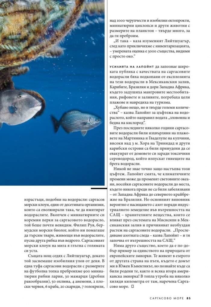 National Geographic България 6/2019
