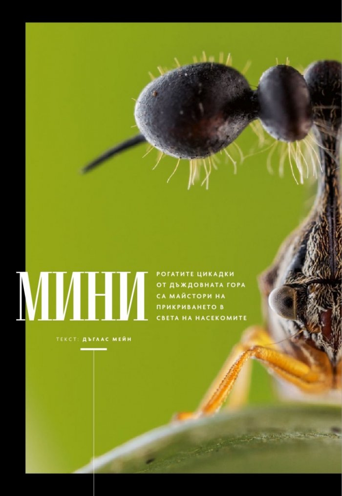 National Geographic България 6/2019