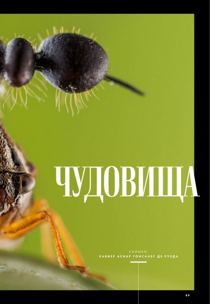 National Geographic България 6/2019