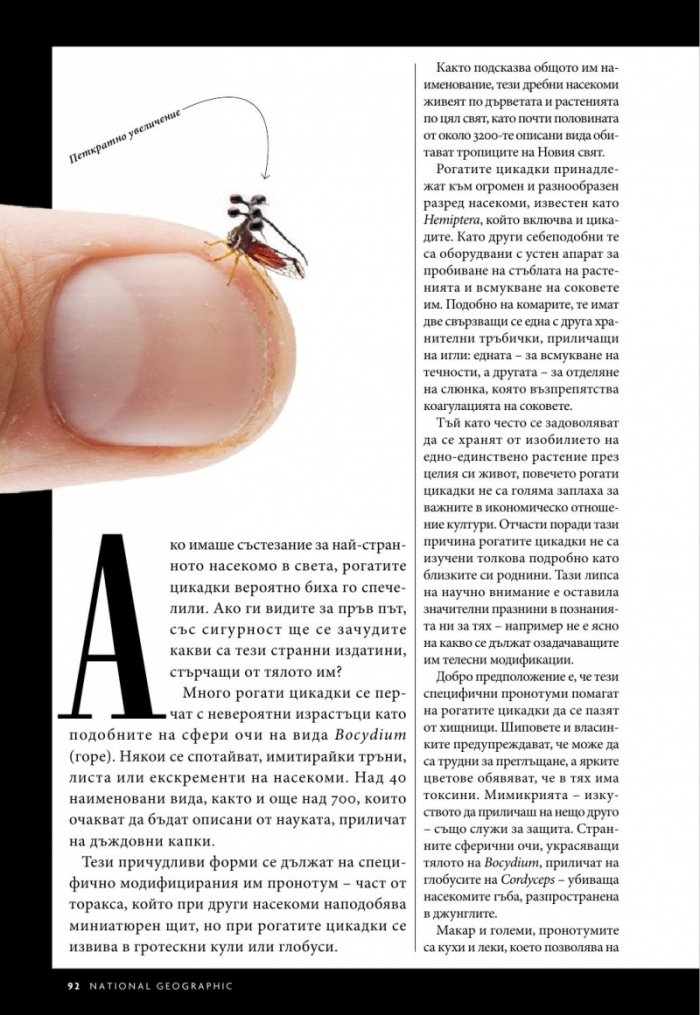 National Geographic България 6/2019