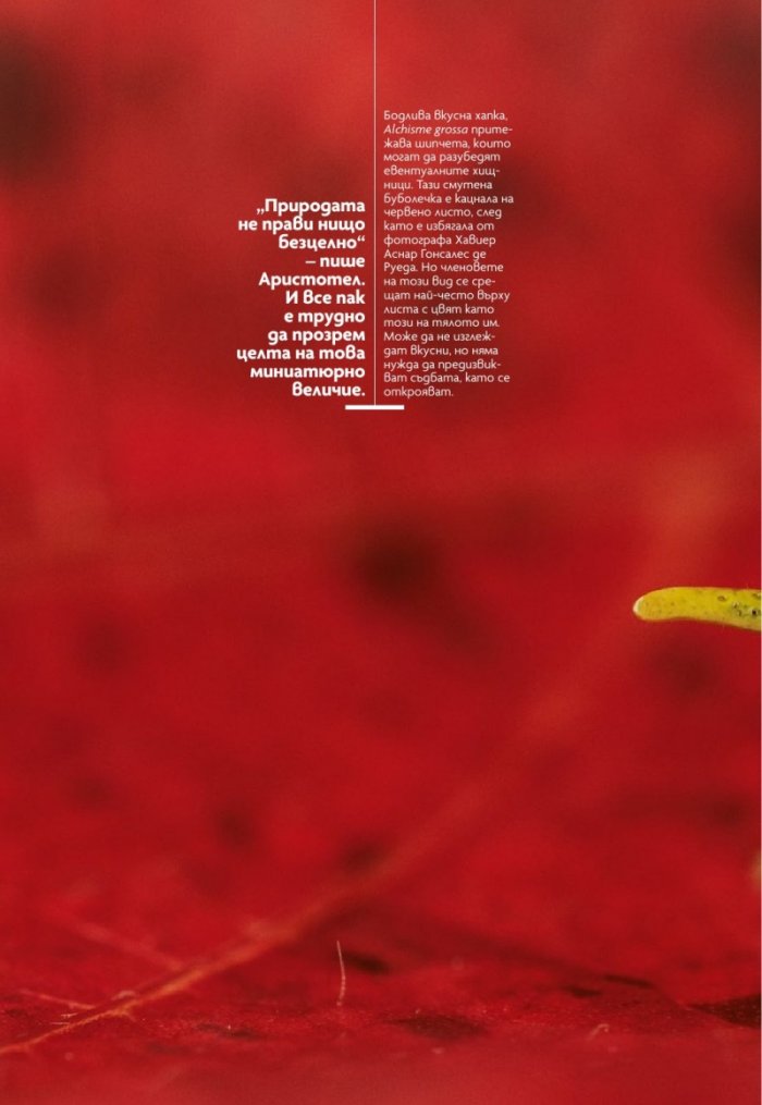 National Geographic България 6/2019