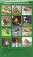 Calendar 2012: British Birds