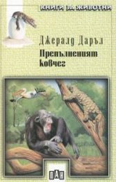 Препълненият ковчег