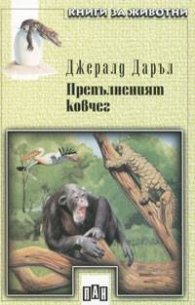 Препълненият ковчег