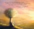 Листа. История за сезоните и кръговрата на живота