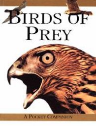 Birds of Prey: Pocket Companion