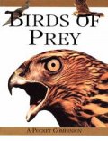 Birds of Prey: Pocket Companion