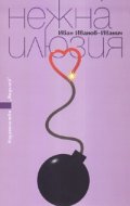 Нежна илюзия. Роман