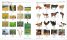 Japanese English Bilingual Visual Dictionary