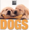 Dogs/ Cube Book