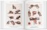 Atlas of Human Anatomy and Surgery