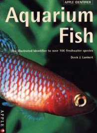 Aquarium Fish