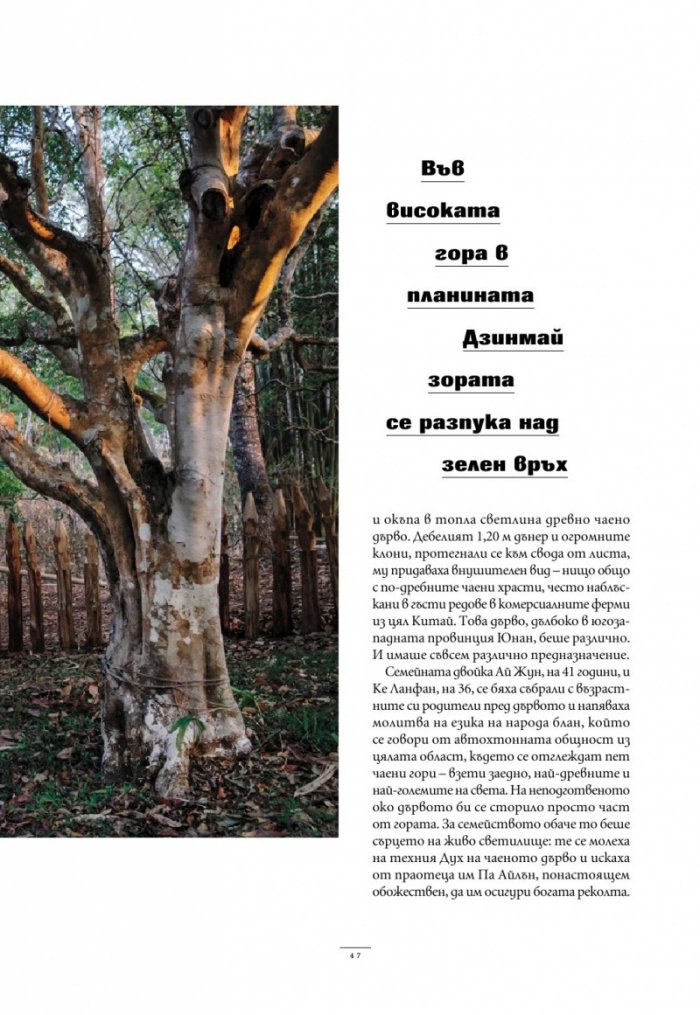 National Geographic България Май/2025