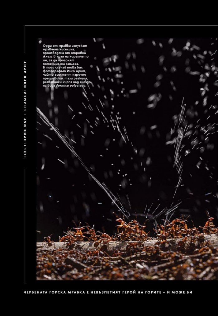 National Geographic България Май/2025