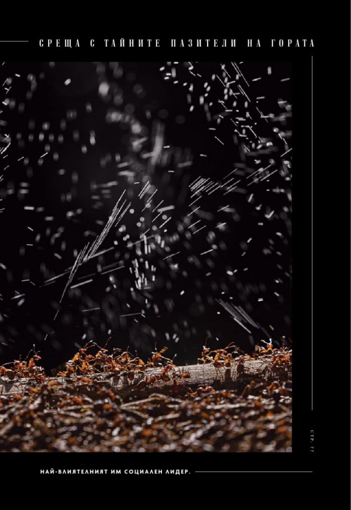 National Geographic България Май/2025