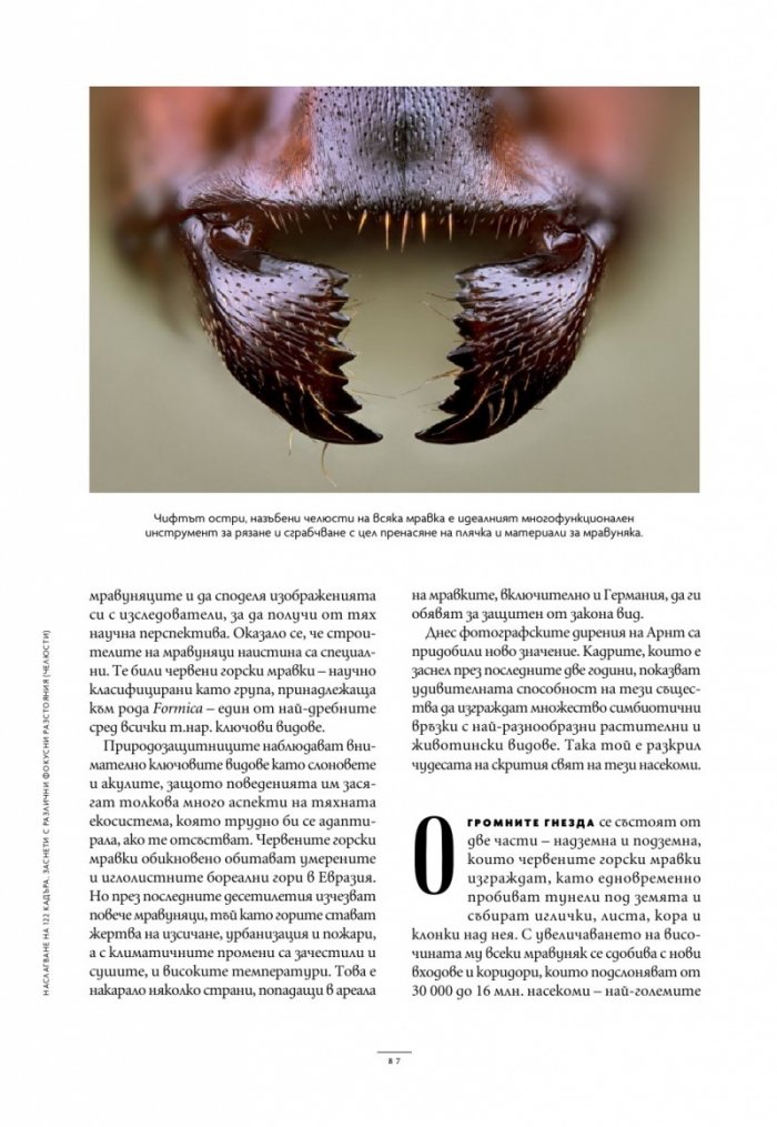 National Geographic България Май/2025
