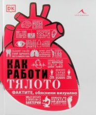 Как работи тялото