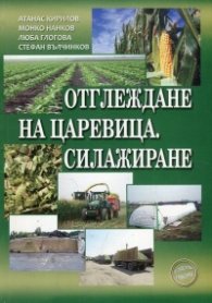 Отглеждане на царевица. Силажиране
