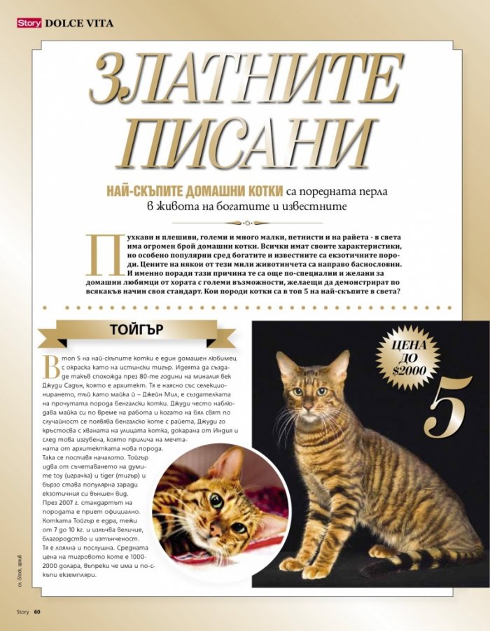 Story 12/2019