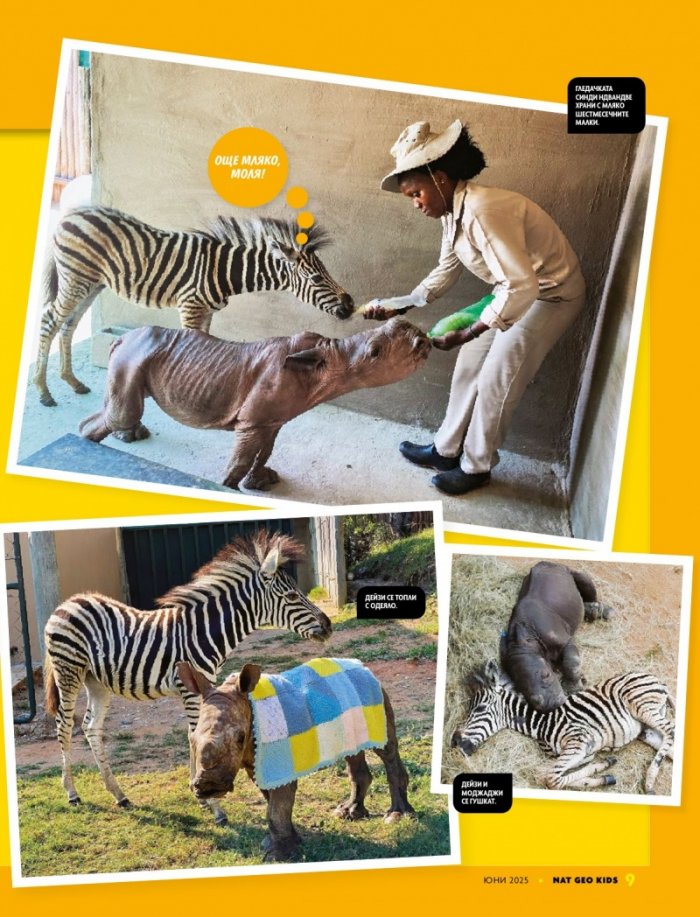 National Geographic KIDS България Юни/2025