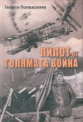 Пилот от Голямата война