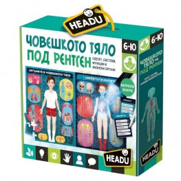 Човешкото тяло под рентген HBG29174