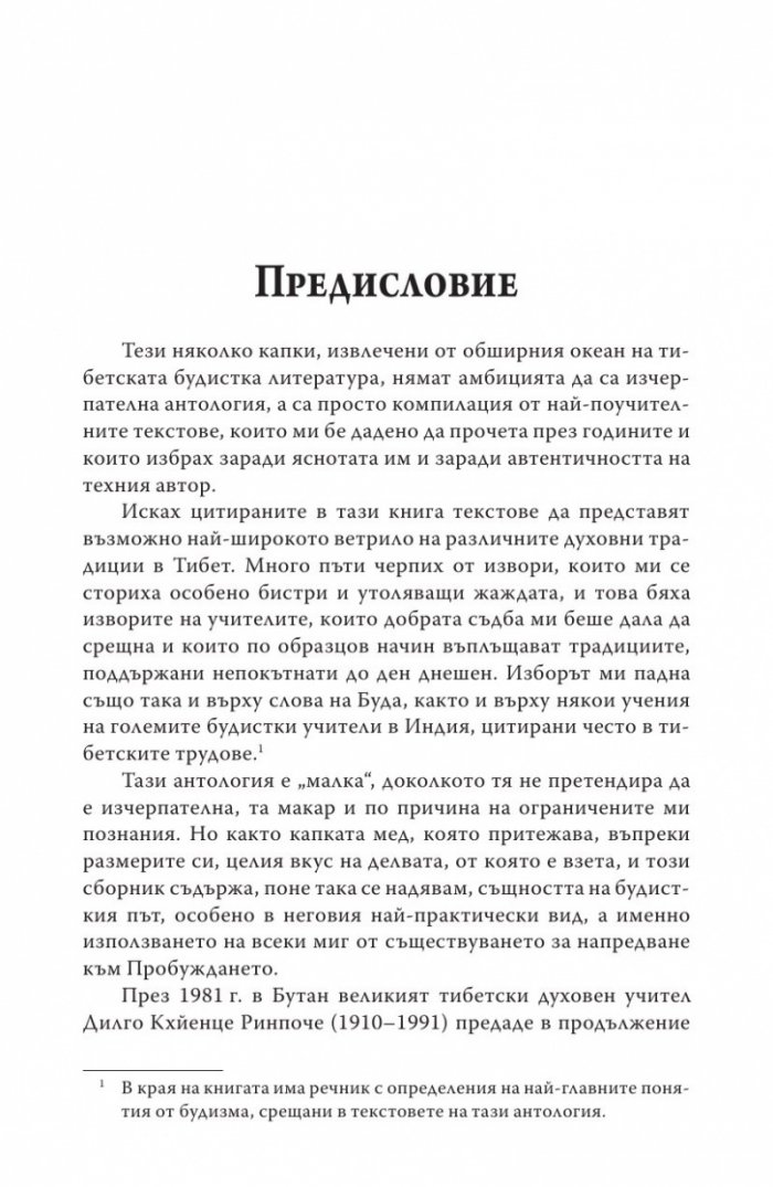Пътища на духа (Малка антология на основни тибетски текстове)