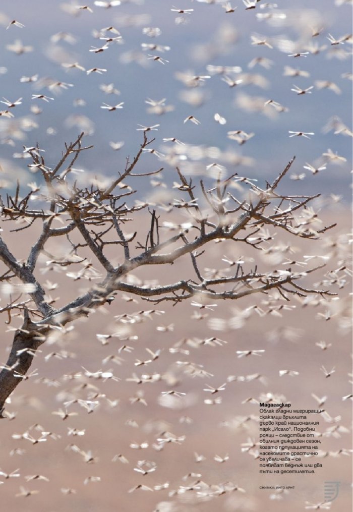 National Geographic България 05/2017