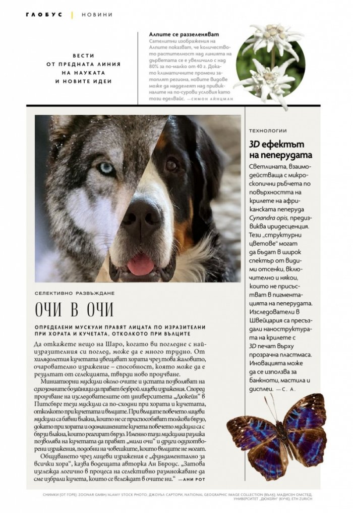 National Geographic България Ноември/2022