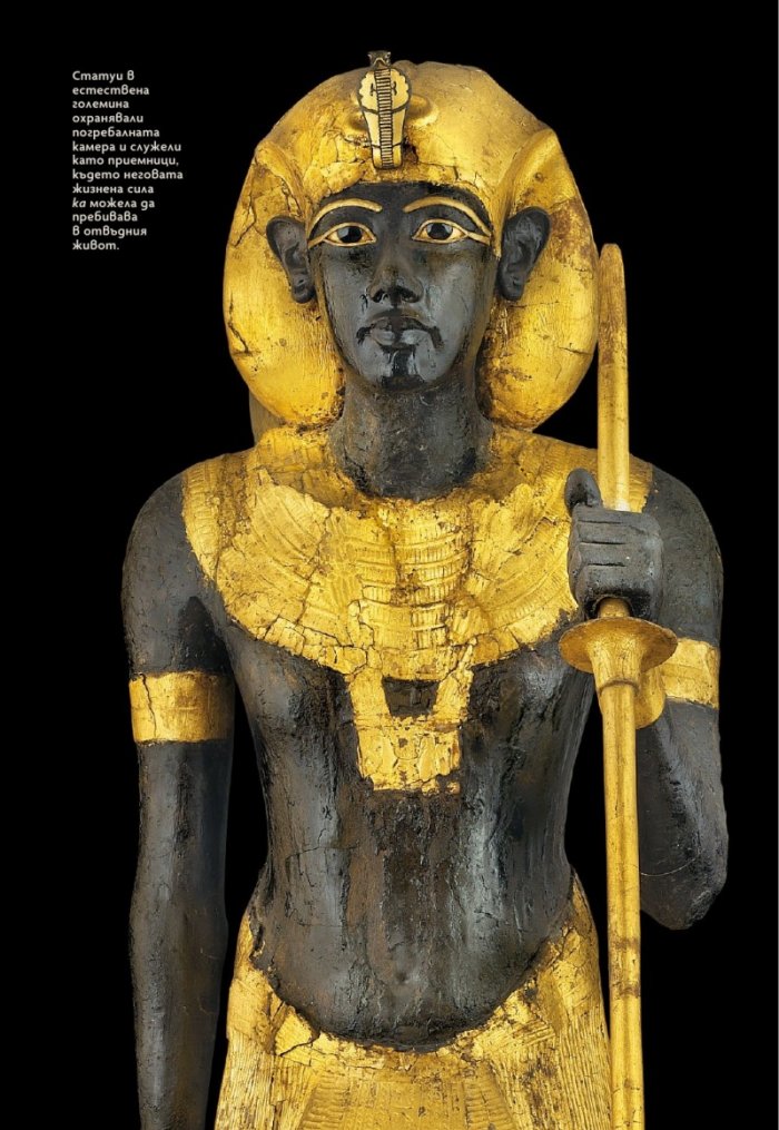 National Geographic България Ноември/2022
