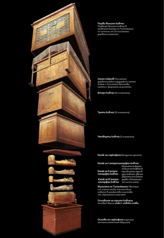 National Geographic България Ноември/2022