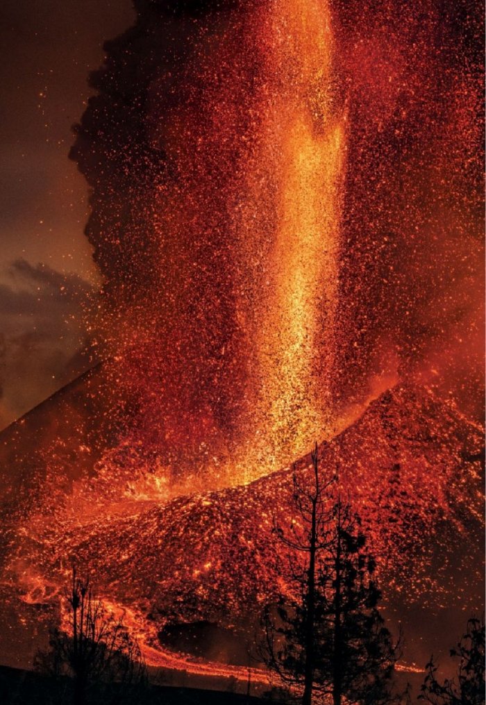 National Geographic България Ноември/2022