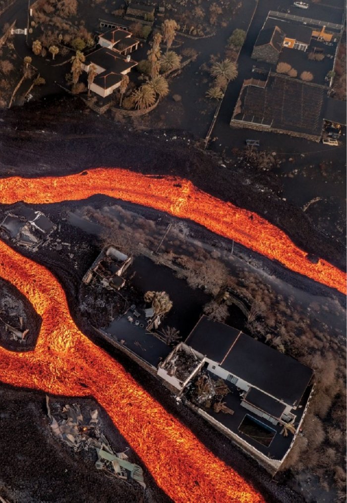 National Geographic България Ноември/2022