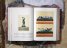 Fausto & Felice Niccolini. Houses and Monuments of Pompeii