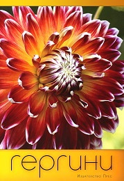 Гергини