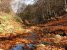 Пътеводител на дивите места